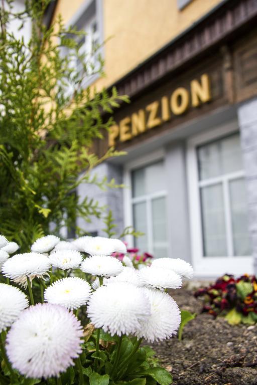 Penzion 43 Bor Exteriör bild
